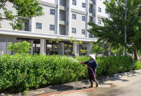 TỈ MỈ HOÀN THIỆN TỪNG MẢNG XANH – W1 TÔ THÊM MÀU XANH MÁT